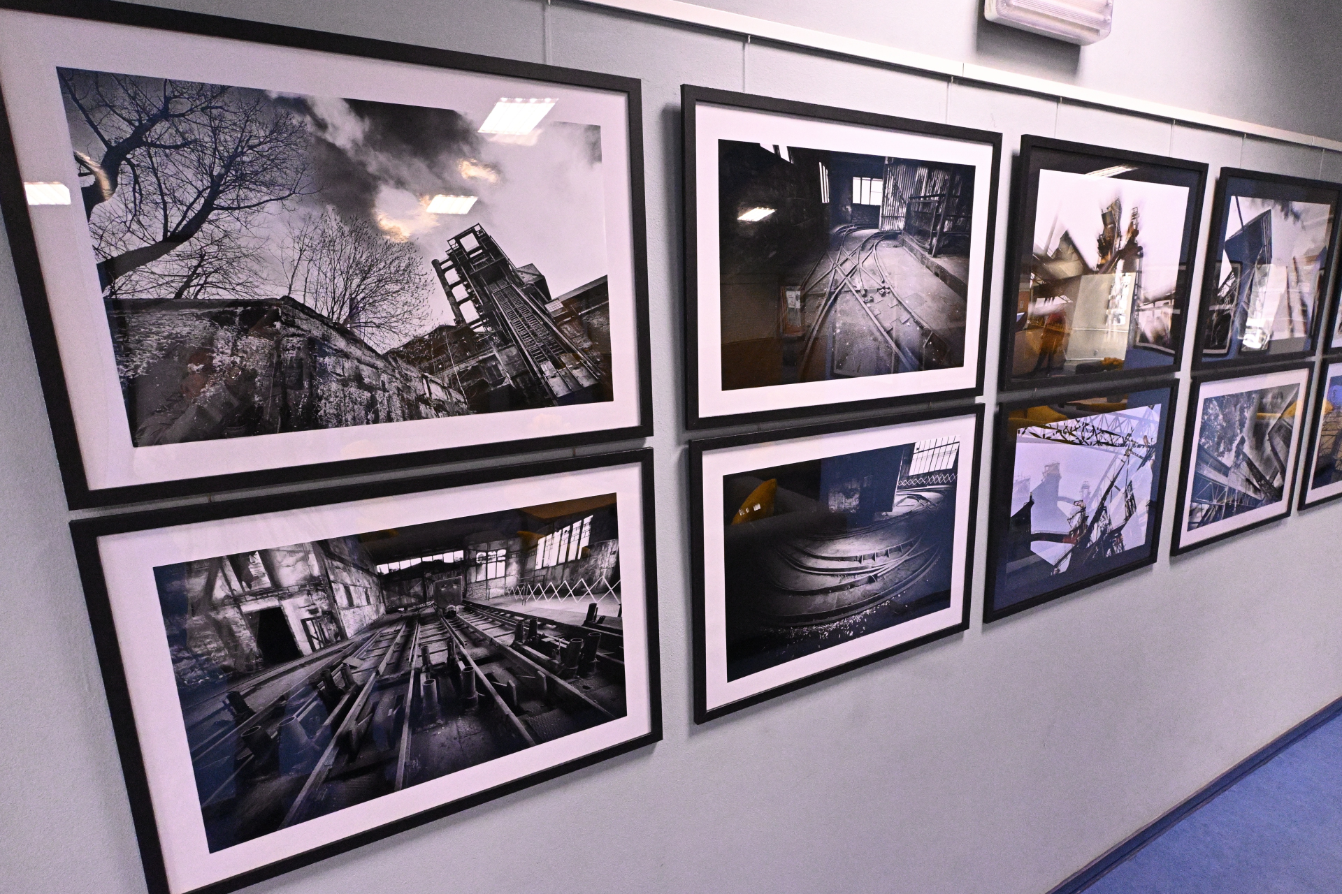 Výstava DOV Bohumín 2-4-2026-01