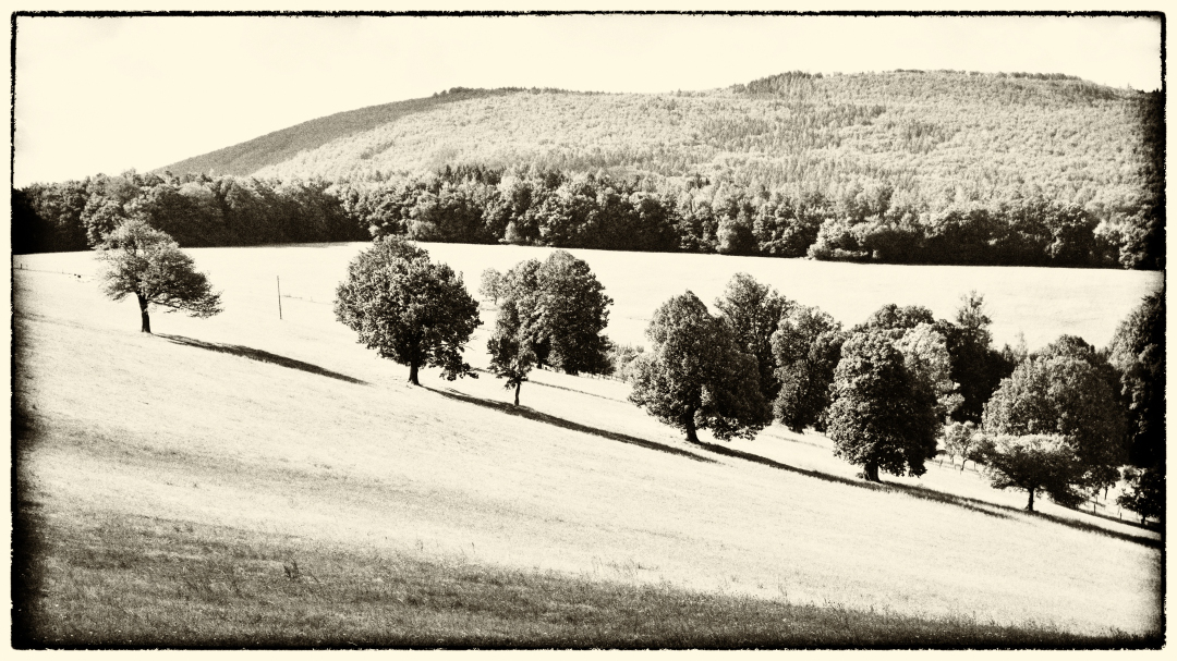 _ZFC1037_01